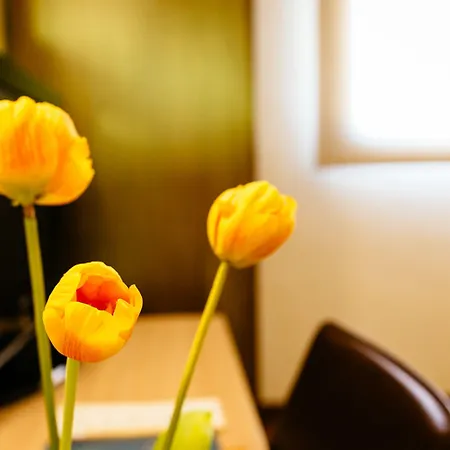 酒店 三角洲拉尔加迪尔酒店 厄尔·波普瑙·德尔·戴尔