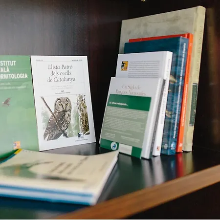 L'algadir Del Delta 3*