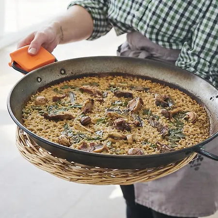 L'algadir Del Delta 3* El Poble Nou del Delta